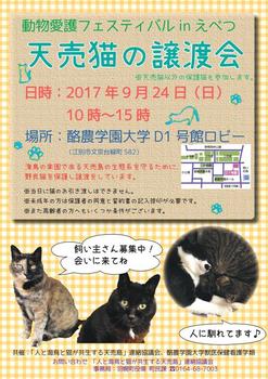 170924天売猫譲渡会_動物愛護フェスinえべつ.jpg